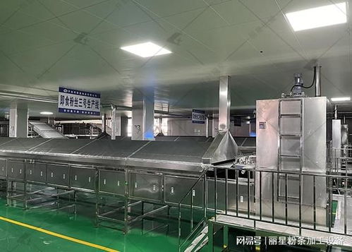 麗星桶裝粉絲粉餅生產(chǎn)設備 核心優(yōu)勢解析與規(guī)模化生產(chǎn)落地實踐