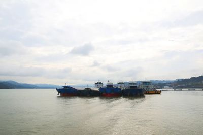 著力構建沿江綜合立體交通走廊——趙沖久在宜昌、武漢調研碼頭建設與管理