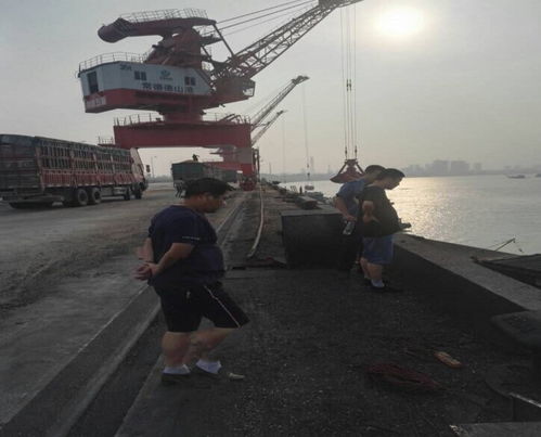 市交通運輸局赴岳陽港、常德港考察學習碼頭建設與管理經驗