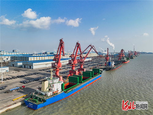 京津項目落地助推曹妃甸協同發展 跨地區產業合作新模式引領碼頭建設與管理創新